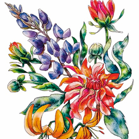 Герогин, люпин и лилии