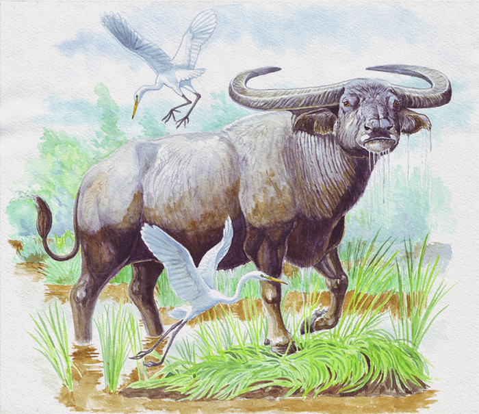 Потревоженная праздность.