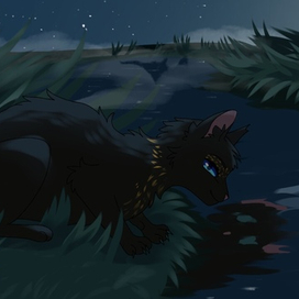 работа на заказ