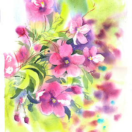 Яблоня Недзведского