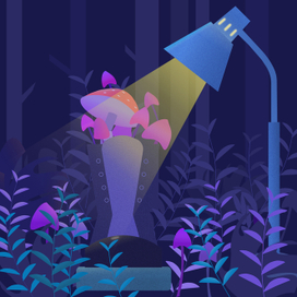 Приключения грибов