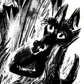 Скотч-терьер на охоте