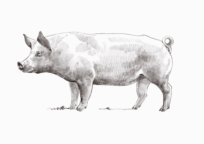 В меню сегодня