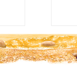 С.Топелиус. Кнут-музыкант