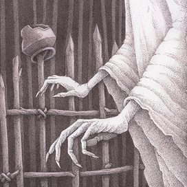 Полуночница