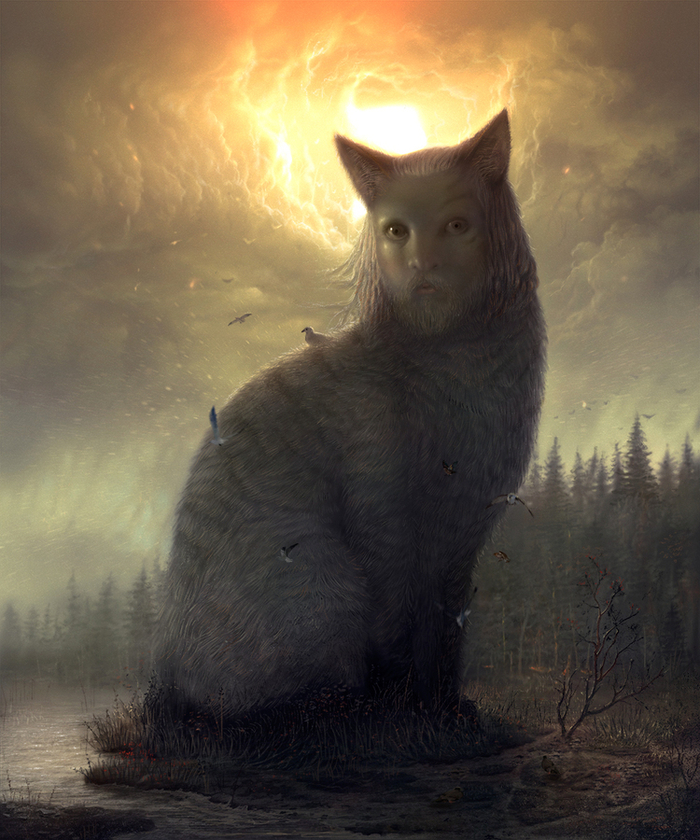 Обжитый кот