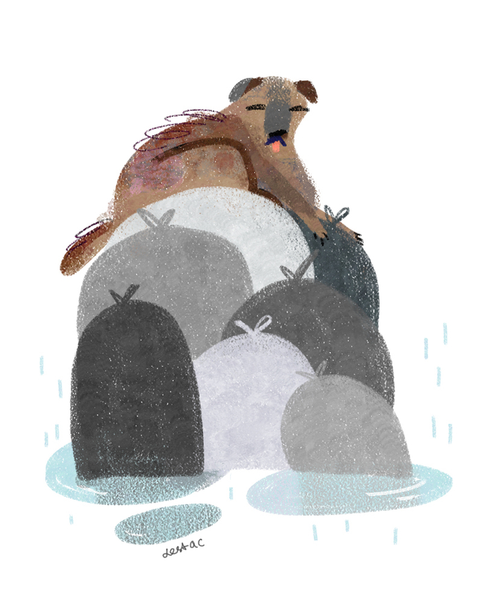 Дворняга на мусорных мешках