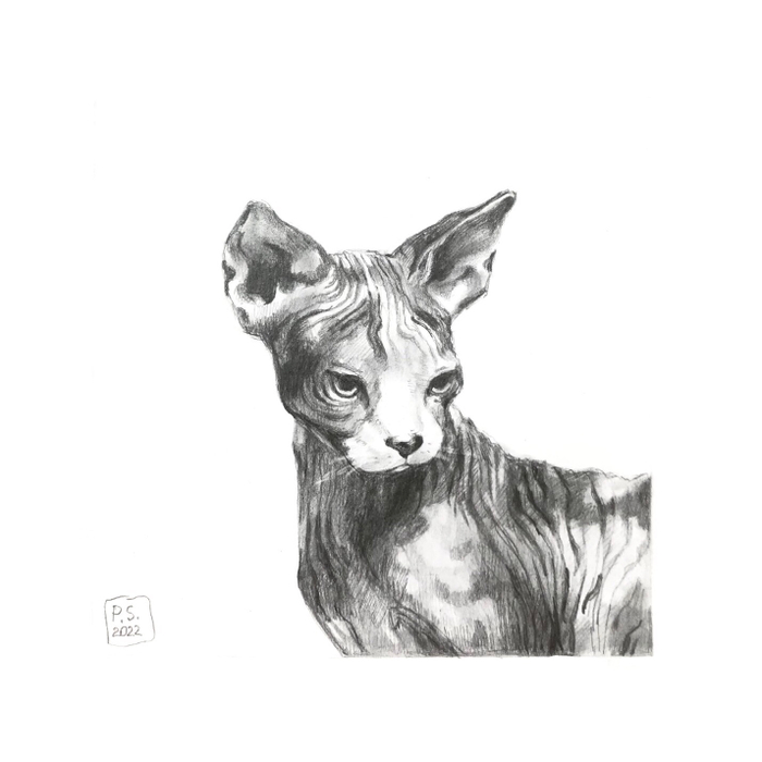 Миниатюра 🐈‍⬛