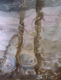 отражения ноября