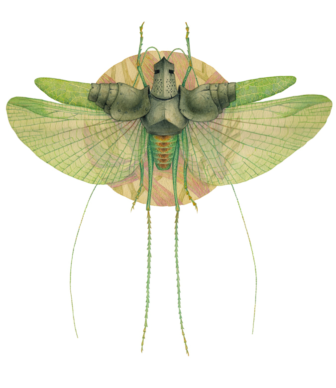 зеленый рыцарь