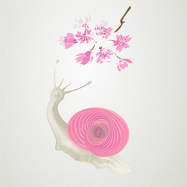 Розовая улитка с веткой сакуры