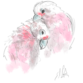 Две половинки