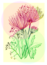  Весенний принт