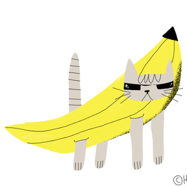 Котик в костюме банана