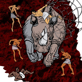 На краю Ойкумены