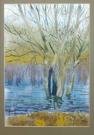 Весенняя вода