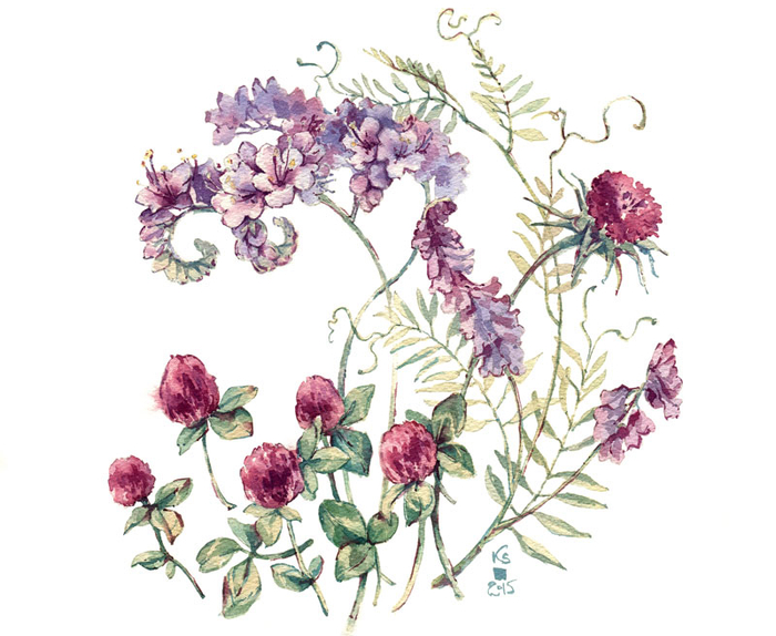 Разнотравье