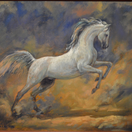 победитель ночи