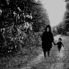 призраки леса