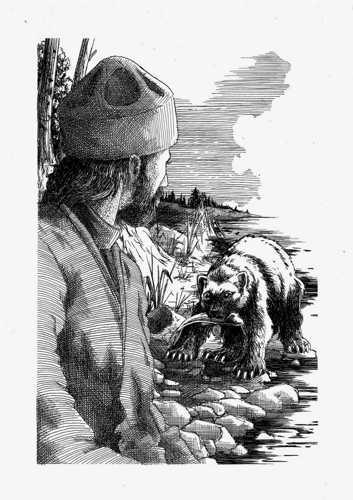 Возвращение росомахи. Илл.10