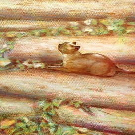 УКРОМНОЕ МЕСТЕЧКО