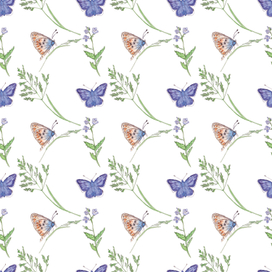 Бабочки в травинках