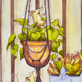 Покорение вершин. Мышата