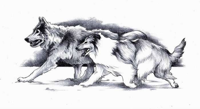 Молниеносный. 6-0