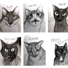 банда из Кологрива