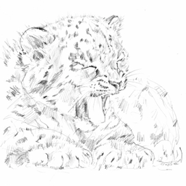 Снежный барсик Нидара