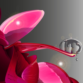 Красивый пион с утренней расой