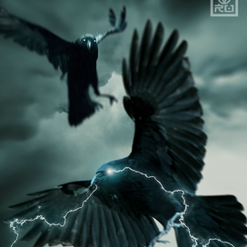 Huginn and Muninn