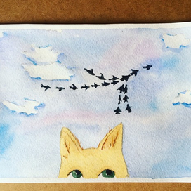 Провожает на юг