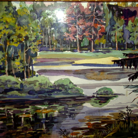 лесное озеро