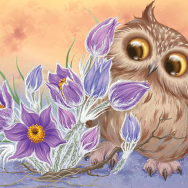 Сон-трава (цветы) сова