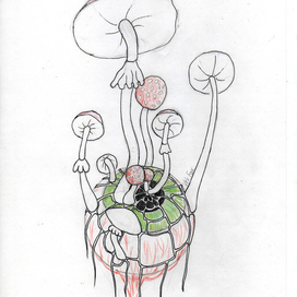 Нечто на тему биологии "Глаз"