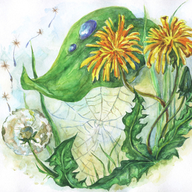 одуванчики