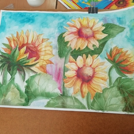 Подсолнухи