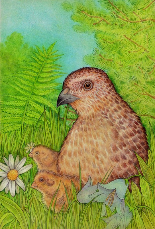 Перепелята с мамой