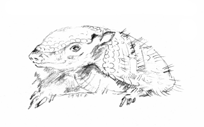 Броненосец