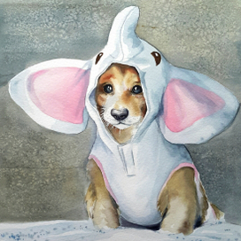 Дворняжка в подтяжках.