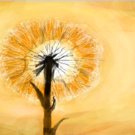 Dandelion