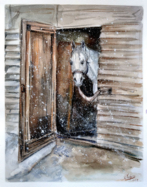 Белая лошадь.