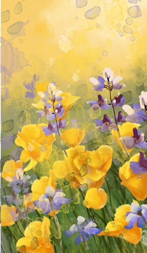 полевые цветы