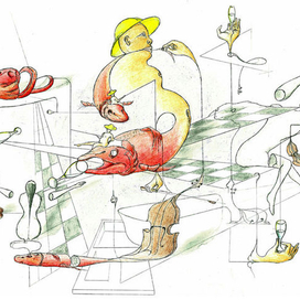 Синдром навязчивой идеи у рыб