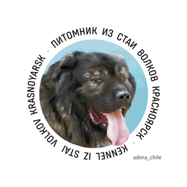 Логотип питомника кавказов "Из Стаи Волков"
