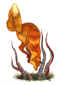 отважный лис