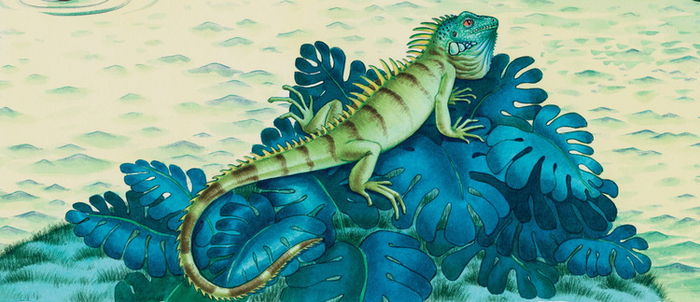 деталь "Игуана"