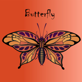 Бабочка с распахнутыми крыльями