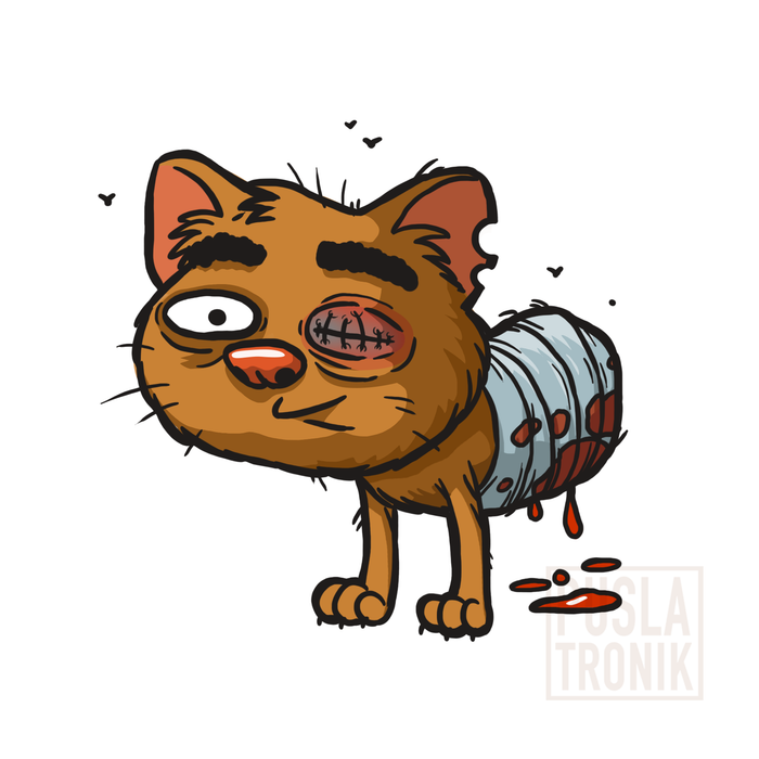 Halfcat. Кот-половинка